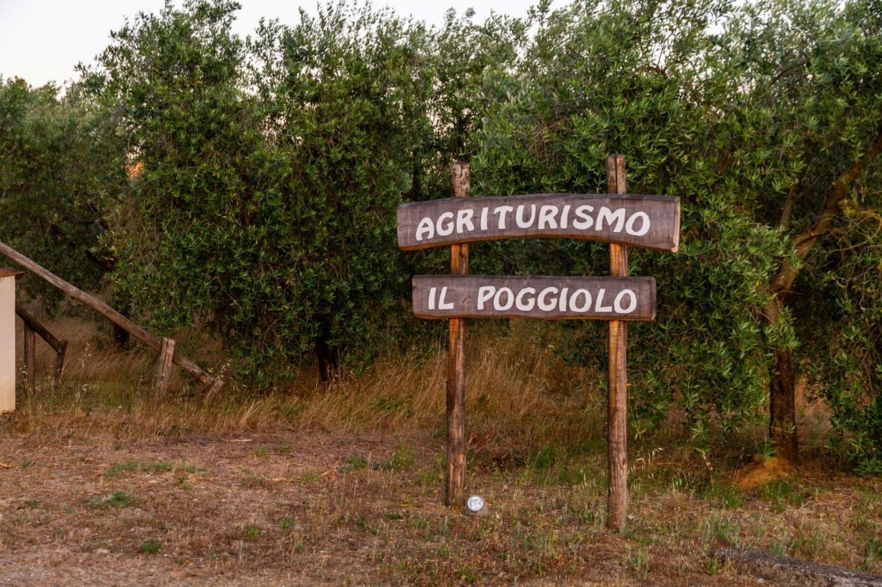 Agriturismo Il Poggiolo Βίλα Γκροσέτο Εξωτερικό φωτογραφία